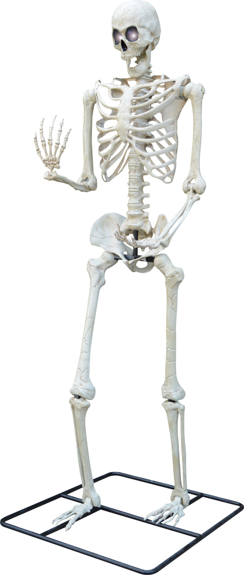 Squelette tital debout de 10 pi avec led wt