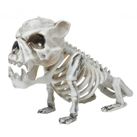 Squelette chien (13")