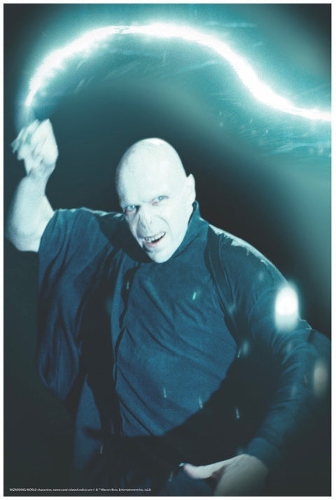 Affiche de fenêtre - Voldemort - Harry Potter