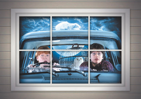 Affiche de porte - Harry et Ron - Harry Potter