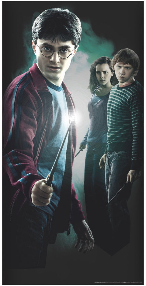 Affiche de porte - Harry Potter