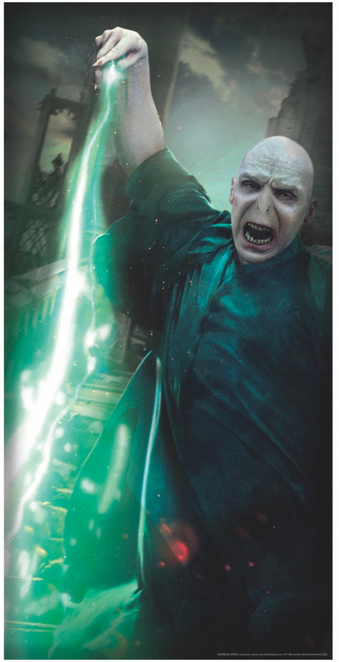 Affiche de porte - Voldemort - Harry Potter