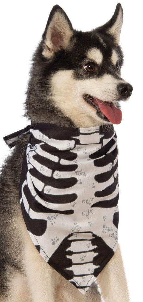 Bandana squelette pour chien -  - Boo'tik d'Halloween