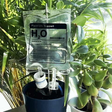 Systeme D'Arrosage Soutien pour plantes