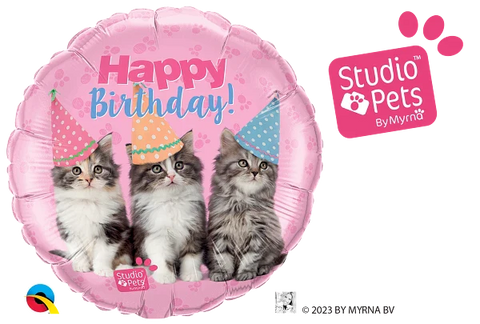 Studio pets bday kittens 18" - 18"
